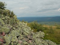 S, Dalarna, Sarna, National Park Fulufjallet, Buntsandstein 1 Saxifraga-Willem van Kruijsbergen